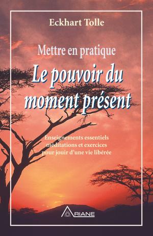 Cover of the book Mettre en pratique Le pouvoir du moment présent by Suzanne Ward, Jean Hudon, Michelle Bachand, Carl Lemyre