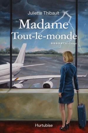 Cover of the book Madame Tout-le-monde T5, Ciel d'orage by Sonia K. Laflamme