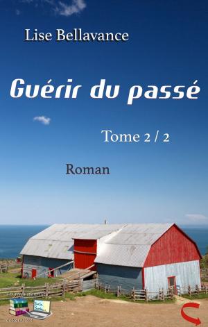 Cover of the book GUÉRIR DU PASSÉ Tome 2/2 by Racheal D.