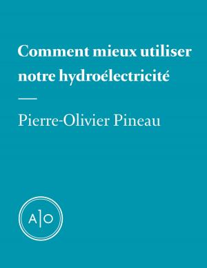 Cover of Comment mieux utiliser notre hydroélectricité
