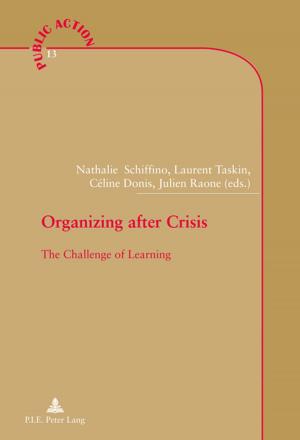 Cover of the book Organizing after Crisis by Karolina Mroziewicz
