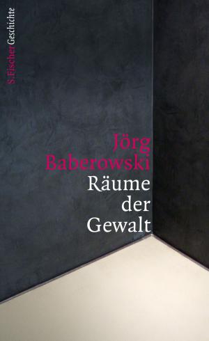 Cover of the book Räume der Gewalt by Kathrin Röggla
