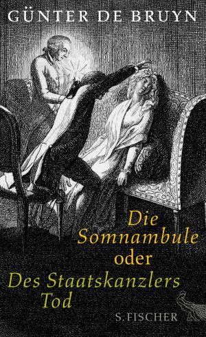 Cover of the book Die Somnambule oder Des Staatskanzlers Tod by Wolfgang Hilbig