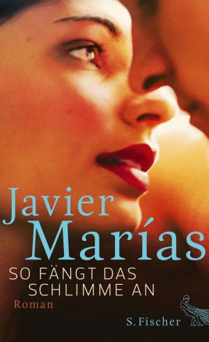 Cover of the book So fängt das Schlimme an by Margareta Magnusson