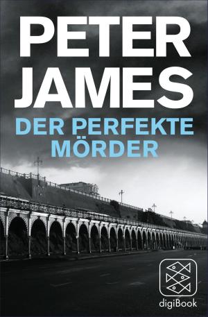Cover of Der perfekte Mörder