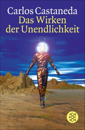 Book cover of Das Wirken der Unendlichkeit