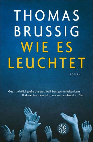 Cover of the book Wie es leuchtet by Albert Ostermaier