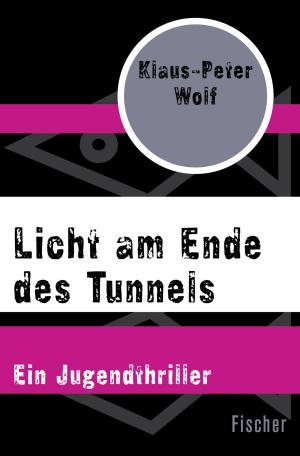 Book cover of Licht am Ende des Tunnels