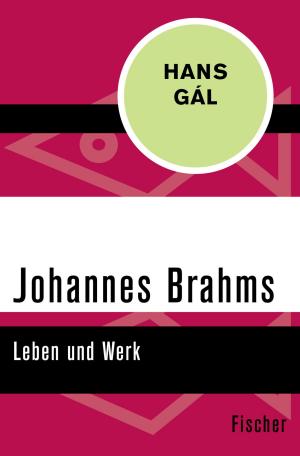 Cover of the book Johannes Brahms by Otto Flake, Max Rychner