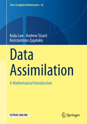 Cover of the book Data Assimilation by Danilo Capecchi