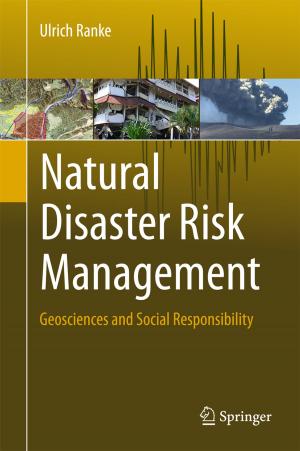 Cover of the book Natural Disaster Risk Management by Patrick L. Combettes, Heinz H. Bauschke
