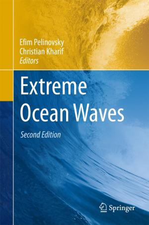 Cover of the book Extreme Ocean Waves by Valerio Faraoni