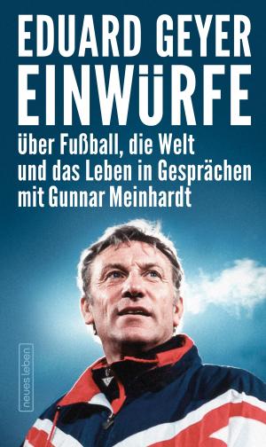Cover of the book Einwürfe by Frank Willmann