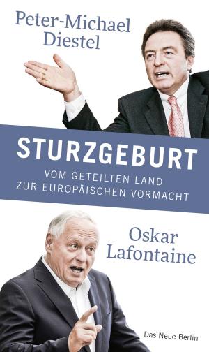 Book cover of Sturzgeburt