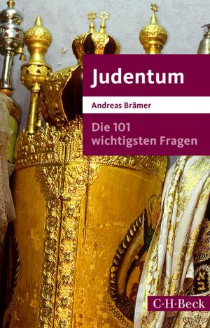 Cover of the book Die 101 wichtigsten Fragen - Judentum by Helwig Schmidt-Glintzer