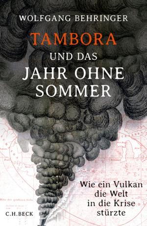 Cover of the book Tambora und das Jahr ohne Sommer by Adolf Muschg