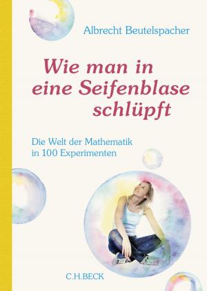 Cover of the book Wie man in eine Seifenblase schlüpft by Hans-Joachim Gehrke