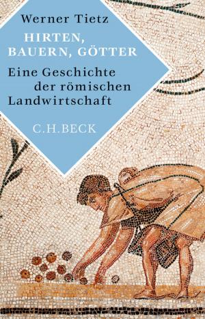 Cover of the book Hirten, Bauern, Götter by Thomas O. Höllmann