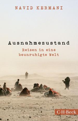 Cover of the book Ausnahmezustand by Albert Schweitzer