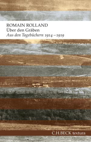 Cover of the book Über den Gräben by Jan Bürger, Ulrich Raulff, Matthias Kross, Liliane Weissberg, Morten Paul, Jost Philipp Klenner, Roger Chartier
