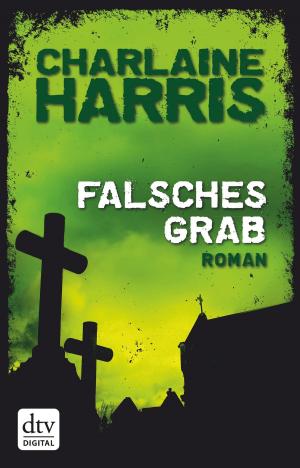 Book cover of Falsches Grab