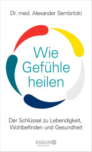 Cover of the book Wie Gefühle heilen by Mark Schieritz