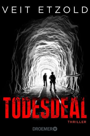 Cover of the book Todesdeal by Tanja Kinkel
