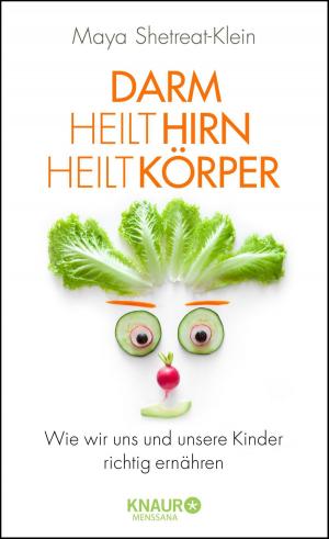 Cover of the book Darm heilt Hirn heilt Körper by Luisa Francia