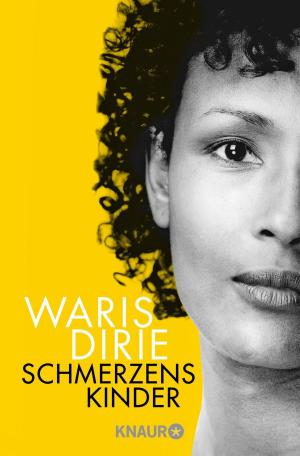 Cover of the book Schmerzenskinder by Waris Dirie
