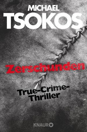 Book cover of Zerschunden