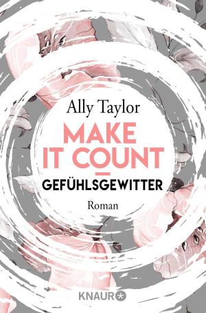 Cover of the book Make it count - Gefühlsgewitter by Sebastian Fitzek