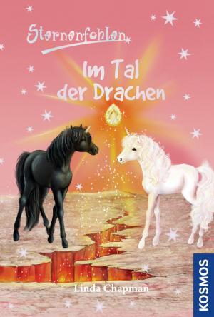 Cover of the book Sternenfohlen, 30, Im Tal der Drachen by Henriette Wich, Maja von Vogel