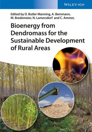 Cover of the book Bioenergy from Dendromass for the Sustainable Development of Rural Areas by Judith G. Smetana