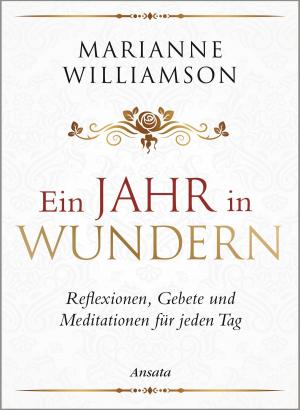 Cover of the book Ein Jahr in Wundern by Monnica Hackl