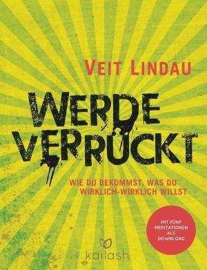 Book cover of Werde verrückt