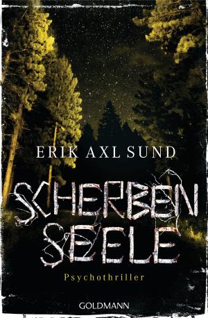 Book cover of Scherbenseele