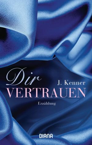 Cover of the book Dir vertrauen by Brigitte Riebe