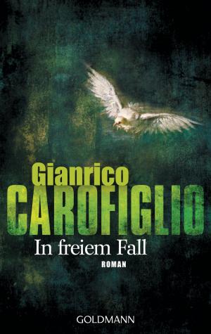 Book cover of In freiem Fall