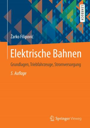 Cover of the book Elektrische Bahnen by Francesco Capasso, Timothy S. Gaginella, Giuliano Grandolini, Angelo A. Izzo