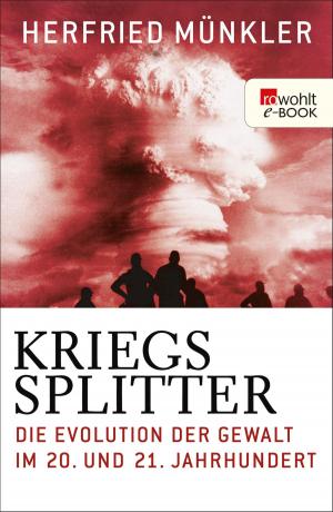Cover of the book Kriegssplitter by Michael Lukas Moeller
