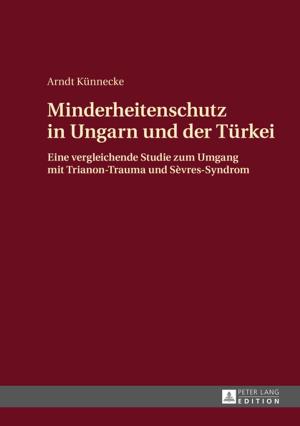 Cover of the book Minderheitenschutz in Ungarn und der Tuerkei by Sebastian Piecha
