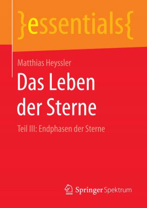 Cover of the book Das Leben der Sterne by Michael Stahr