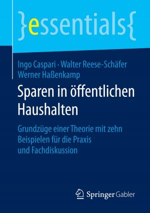 Book cover of Sparen in öffentlichen Haushalten