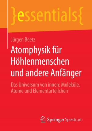 Cover of the book Atomphysik für Höhlenmenschen und andere Anfänger by Wolfgang Wahlster, Dieter Beste