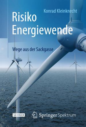 Cover of the book Risiko Energiewende by Diana Morschhäuser, Wilhelm Fischer, Michael Jakob