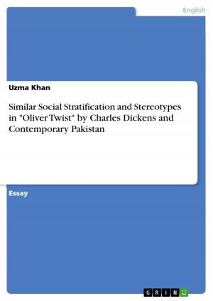 Cover of the book Similar Social Stratification and Stereotypes in 'Oliver Twist' by Charles Dickens and Contemporary Pakistan by Anke Schepers