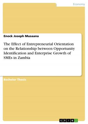Cover of the book The Effect of Entrepreneurial Orientation on the Relationship between Opportunity Identification and Enterprise Growth of SMEs in Zambia by Maybritt Brehm