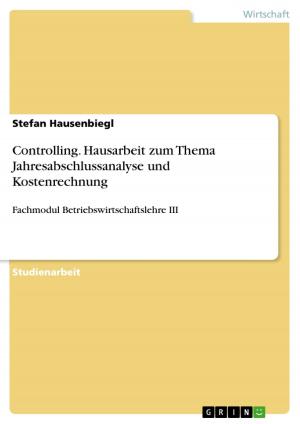 Book cover of Controlling. Hausarbeit zum Thema Jahresabschlussanalyse und Kostenrechnung