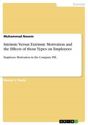 Cover of the book Intrinsic Versus Extrinsic Motivation and the Effects of those Types on Employees by Lukas Roland Wilde