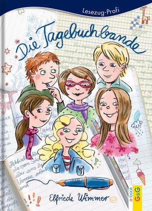 bigCover of the book Die Tagebuchbande by 
